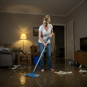 Сусід залив сусідів: як відшкодувати збитки 3 Gemini Generated Image wsp4bwwsp4bwwsp4