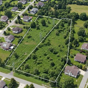 Gemini Generated Image g5wdq8g5wdq8g5wd